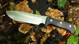 LionSteel M7 Knife Field Test and Review [upl. by Teddy]