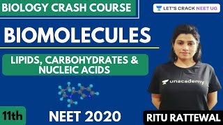 Phoenix 20 Biology Most Important Video for NEET 2025  Udaan [upl. by Yelsehc]