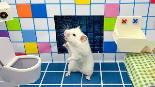 Hamster escapes from Prison in the Bathroom Maze 🐹 [upl. by Aronael415]