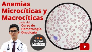 Anemias Microcíticas y Macrocíticas  Curso de HematologíaOncología [upl. by Stelle]