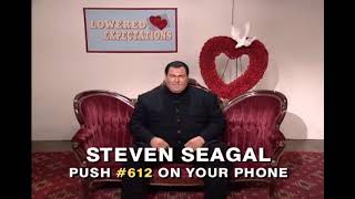 MADtv  Lowered Expectations Steven Seagal [upl. by Doownelg472]