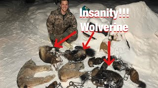 S21Ep7 INSANITY on the Trapline Lynx Marten and Wolverine Trapping [upl. by Doowron134]