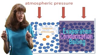 Evaporation condensation and boiling [upl. by Bael]