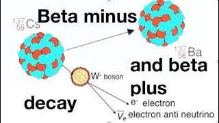 Beta minus and beta plus decay explained from fizzicsorg [upl. by Arihs]