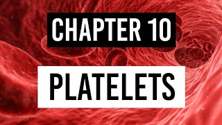 Platelets amp Blood Clotting  Biology  FuseSchool [upl. by Veta541]