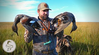 LOUISIANA Salt Marsh Duck Hunting [upl. by Eniledgam538]