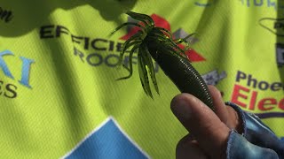 Fishing with Johnny Johnson  Spring Spinnerbait or  Roosevelt Lake AZ [upl. by Orips366]