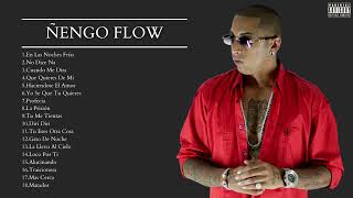 Ñengo Flow  Mix Sus Mejores Exitos [upl. by Madea]