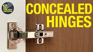 How to fit concealed Eurostyle hinges for overlay amp inset cabinet doors video  348 [upl. by Aecila37]