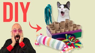 Make Your Cat Happy with DIY Cat Toys [upl. by Ahseken]