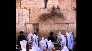 How to Daven Maariv Prayer Nusach Ashkenaz with pauses [upl. by Hanas137]