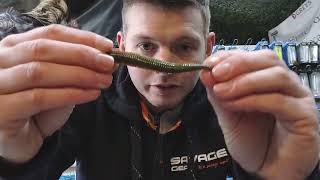 New Gulp Ragworm For Bait amp Lure Fishing [upl. by Ecnahc]