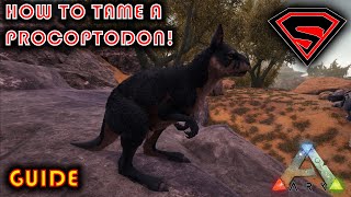 ARK HOW TO TAME A PROCOPTODON 2020  EVERYTHING YOU NEED TO KNOW ABOUT TAMING A PROCOPTODON [upl. by Ecnerrot]