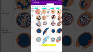 plasmodium  parasitology  microbiology [upl. by Otrebogad]