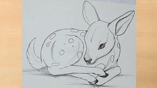 pencil drawing of Baby deer  simple deer drawing [upl. by Waring52]