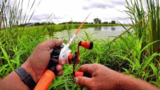 Tips For Catching MORE Fish In Ponds  Pond Fishing Setup [upl. by Lupita]