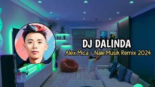 DJ Dalinda Alex Mica  Nale Musik Remix [upl. by Albertina779]