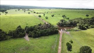 FAZENDA À VENDA ARAGUAÍNATO [upl. by Osanna]