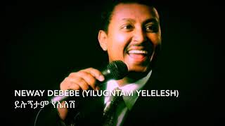 Neway Debebe Yilugntam yelelesh  ይሉኝታም የሌለሽ [upl. by Nagyam]