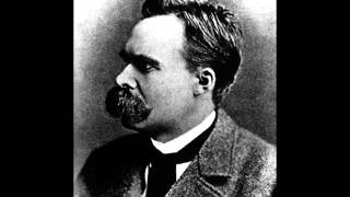 Friedrich Nietzsche  Beyond Good and Evil English Audio Book Part 9  Peoples and Countries [upl. by Maryanna]