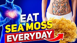 What Are The Sea Moss Benefits For Men and Women [upl. by Read]