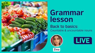 Grammar Lesson Countable and uncountable nouns [upl. by Louanna]