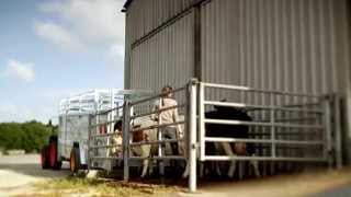 JOSKIN  Livestock trailers Betimax RDS [upl. by Lukasz]