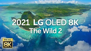 2021 OLED 8K The Wild2 8K HDR 60fps [upl. by Hofmann208]