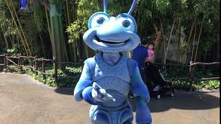 Flik  A Bugs Land  Disney California Adventure park [upl. by Tterag]