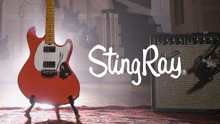 Ernie Ball Music Man StingRay Guitar feat Daniel Donato [upl. by Calvin450]