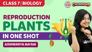 Reproduction in Plants Class 7 Science Chapter 12 in One Shot  BYJUS  Class 7 [upl. by Ahsea]