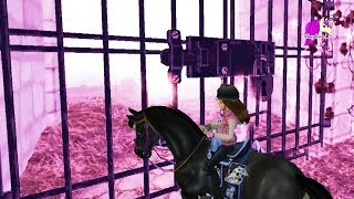 Training 300 Horses Horse Progression Training Route and More  Star Stable [upl. by Trixi]