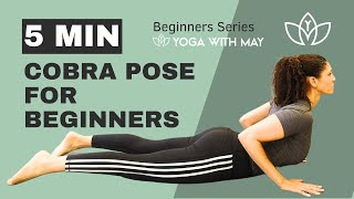 How to do Cobra Pose  Yoga for beginners [upl. by Brenton]