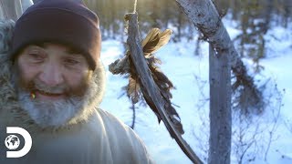 Alimentos para sobrevivir dependen de estas trampas Sobreviviendo a Alaska Discovery Latinoamérica [upl. by Analram]