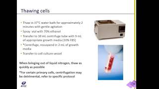 Cell Culture 101 Thawing Cells [upl. by Aspasia836]