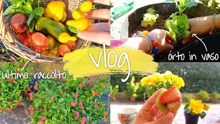 Un giorno nella natura Preparo lorto invernale fiori in giardino amp ultimi ortaggi estivi  vlog [upl. by Eelyrehc]