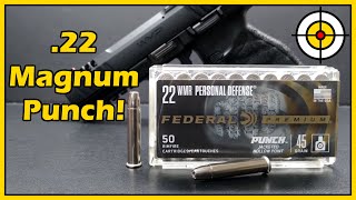 How GOOD Is It NEW Federal Premium PUNCH 22 Magnum Ballistic Gel Test With the WMP amp Barkeep [upl. by Talbott14]