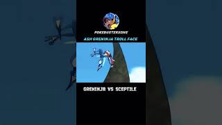 Greninja vs sceptile [upl. by Rebor]