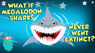 What If Megalodon Sharks Never Went Extinct  The Megalodon  The Dr Binocs Show  Peekaboo Kidz [upl. by Hcirteid224]