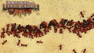 THE GREAT ANT WAR  Empires of the Undergrowth BETA Gameplay  Ep3 [upl. by Vassily337]