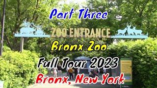 Bronx Zoo Full Tour  Bronx New York  Part Three [upl. by Oemac]