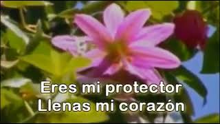 Eres mi protector Maranatha Music [upl. by Ahsiekrats]