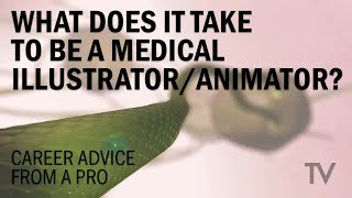 How to Become a Medical IllustratorAnimator Tips from a 20year professional [upl. by Aicilla]