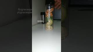 I made Avocado smoothie dor weightloss trending foodie [upl. by Jase]