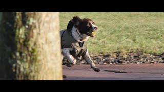 GH5 with Takumar 300mm f4  Queens Park February 2022 [upl. by Kalagher483]