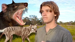 Hunt for EXTINCT Tasmanian Tiger amp Devil of TASMANIA Thylacine [upl. by Retsek712]