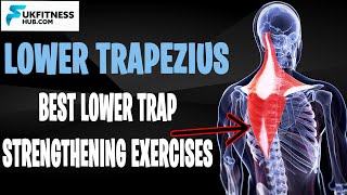 Lower Trapezius Anatomy And Activation Exercises That You Can Do At Home [upl. by Ziza]