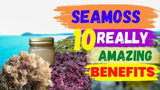 Sea Moss 92 Minerals 10 Amazing Health Benefits [upl. by Rubliw]