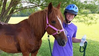 Surprise Kinder Playtime Horse Molly  Horse Riding Safety Video for Kids  Lets Learn about Horses [upl. by Barbarese520]