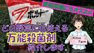 【万能殺菌剤】家庭菜園にもオススメ！どんな野菜にも使用できる！回数無制限！ [upl. by Kleinstein197]